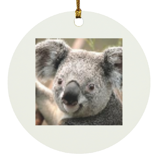 SUBORNC Circle Ornament